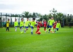 辛芷蕾澄清,童年被扔剪,刀事件,欧亿体育,欧亿体育官网,欧亿体育官方,欧亿体育下载