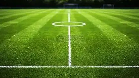 丁真微博粉丝数揭秘：藏族网红小哥加盟国企内幕揭晓