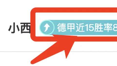 德国裁判希伯特将执裁欧冠14决赛，阿森纳对阵葡体